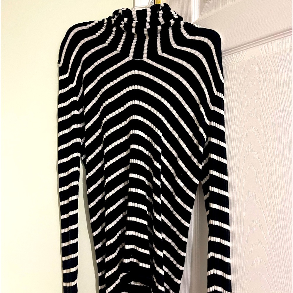 Long sleeve turtleneck
